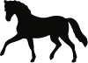 Tierbild 'Pferd'