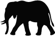 Tierbild 'Elefant'